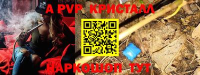 крисы Гусев
