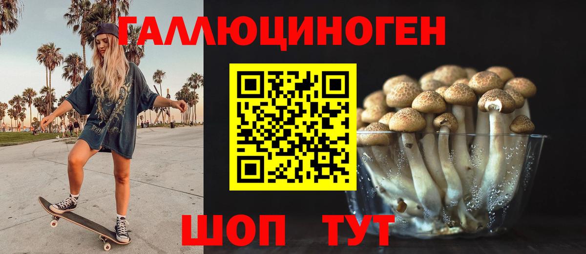 Курчатов  Галлюциногенные грибы ЛСД  Вход с VPN 