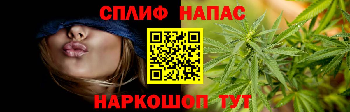 Марихуана план Курчатов